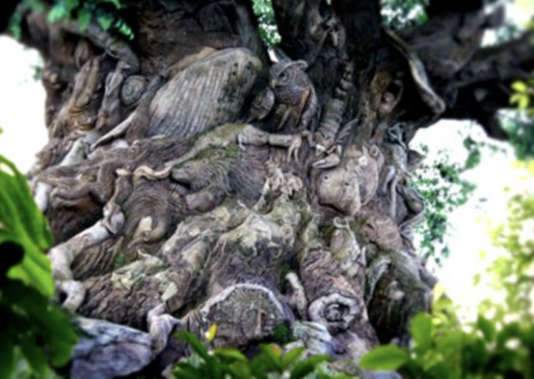 Animal Kingdom Tree of Life